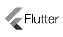 3-logo-flutter